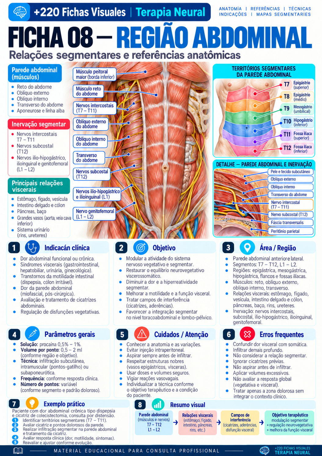 Abdominal Region