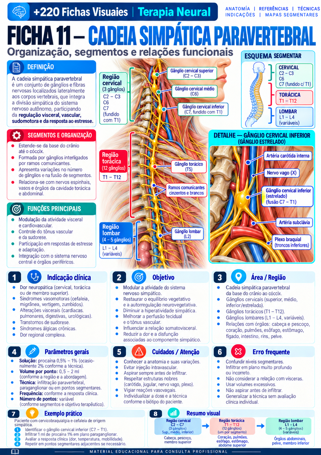 Paravertebral Sympathetic Chain