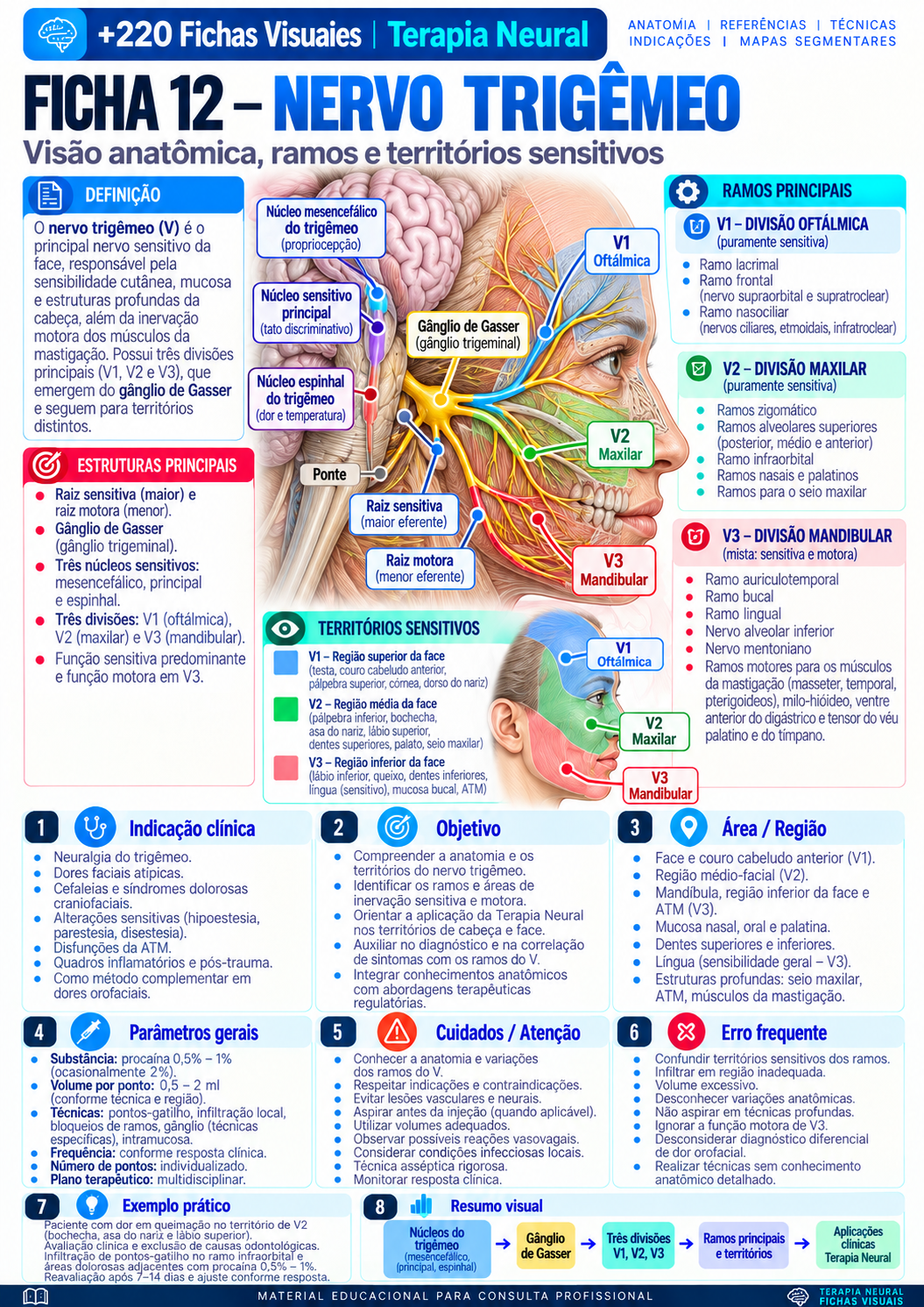 Trigeminal Nerve
