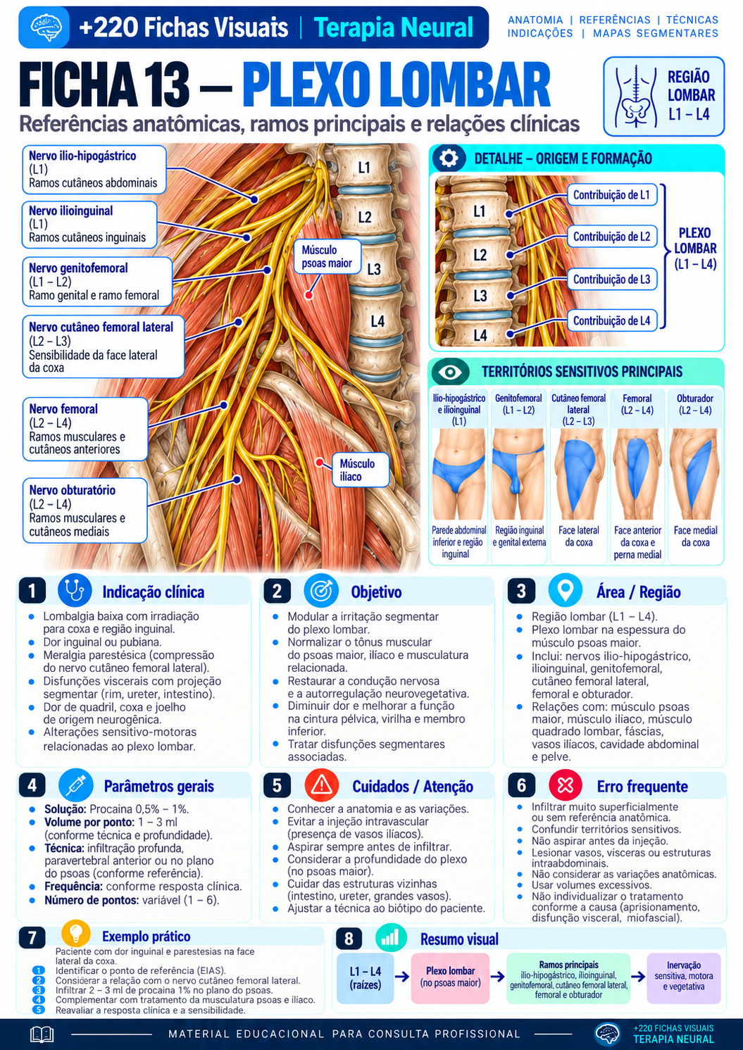 Lumbar Plexus