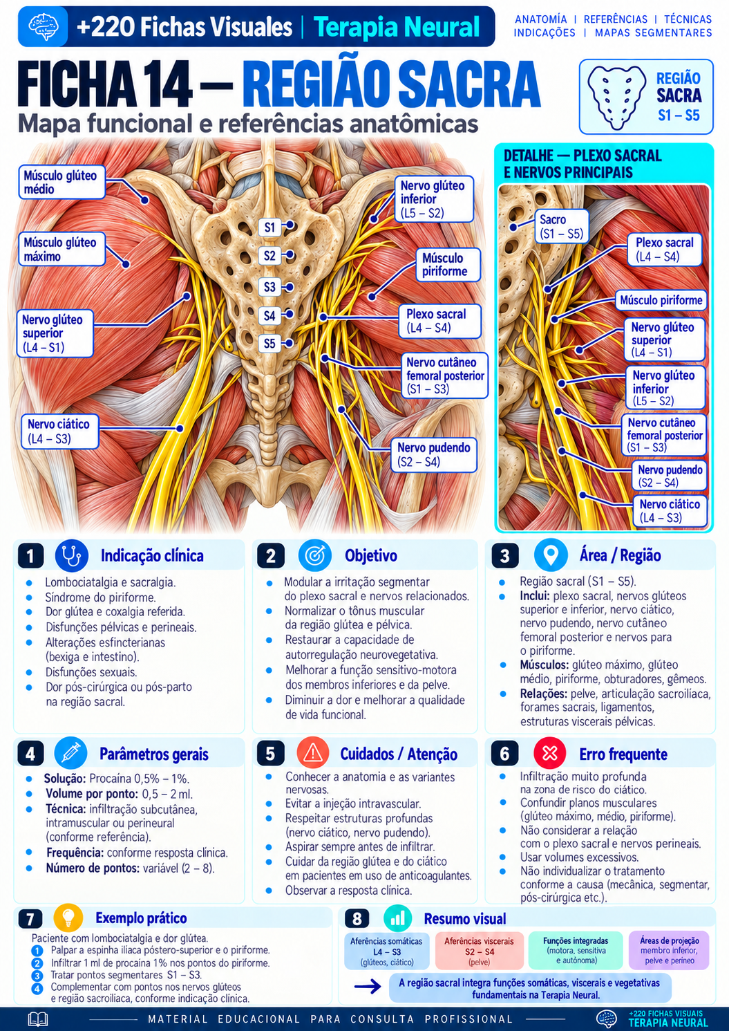 Sacral Region